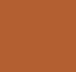 11MpS2AEpCL._AC_SL1000_.jpg
